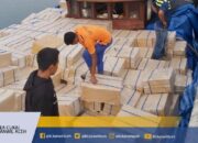 ae3bdc90-0cfa-4e12-a6fe-96f649e81a33_169 (1)