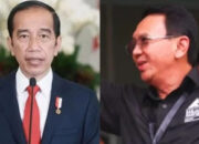 Istilah ‘Ahok Kuda Putih Jokowi’ Viral di Media Sosial, PDIP: Kemungkinan Besar…