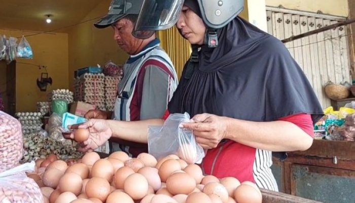 Maulid Nabi, Harga Telur Pecah Rp30 Ribu per Kg